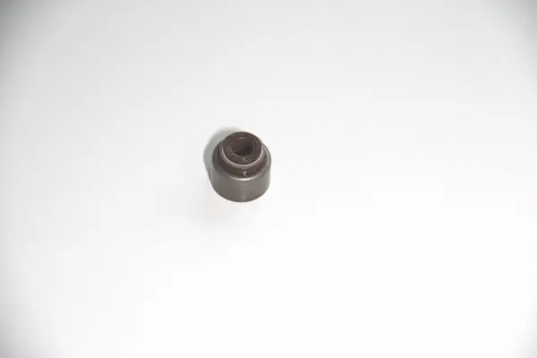 Seal Ring, valve stem (19036939)