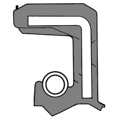 Shaft Seal, camshaft (19026765B)