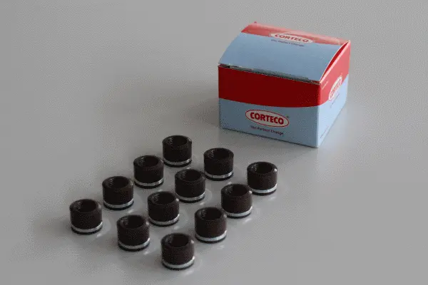 Seal Set, valve stem (19036012)