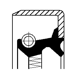 Shaft Seal, wheel hub (01017573B)