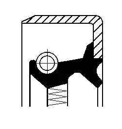 Shaft Seal, differential (12011443B)