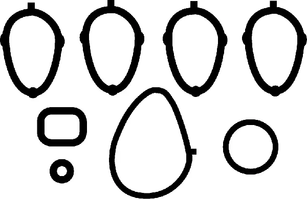 Gasket, intake manifold (423062H)