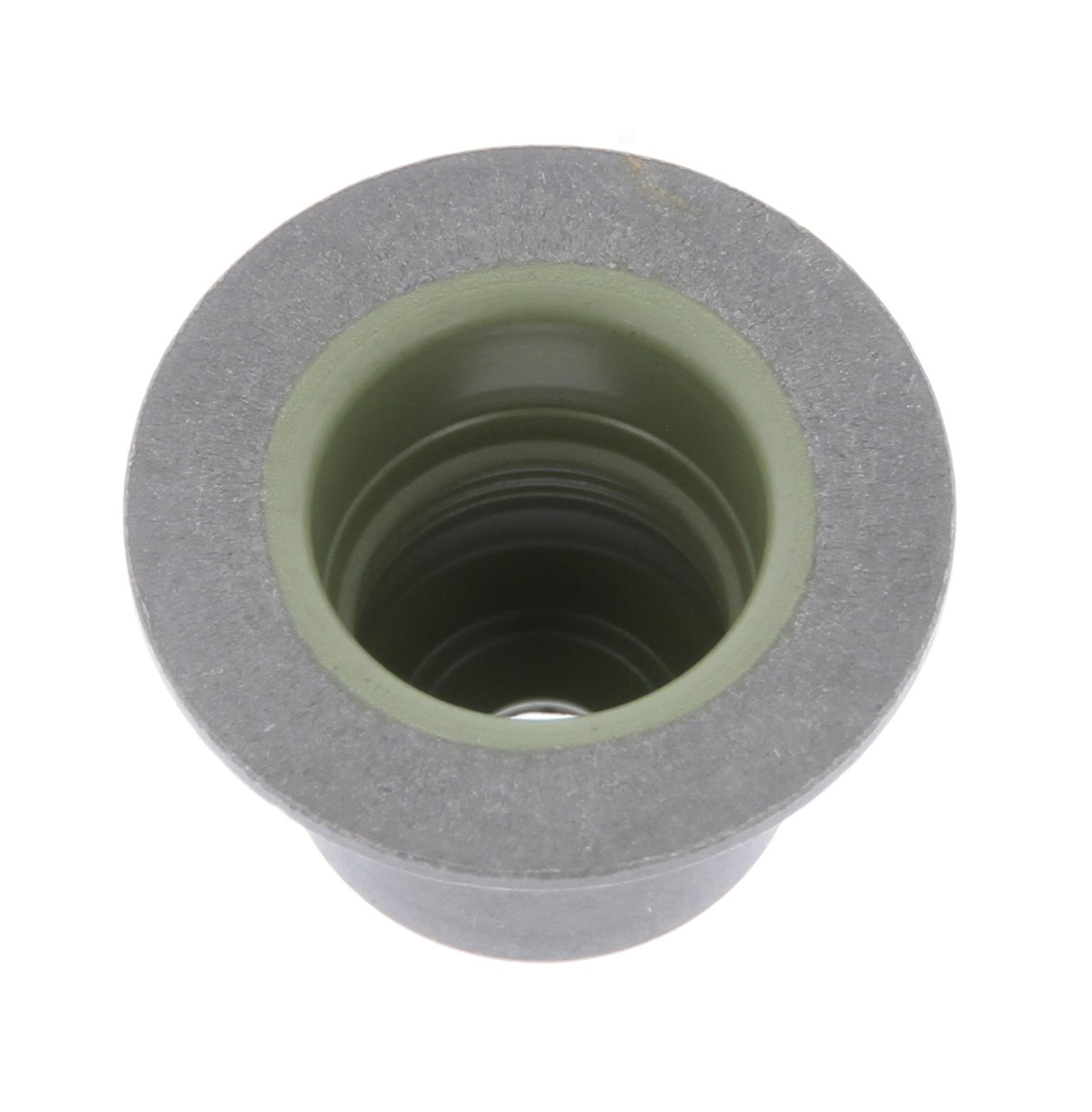 Seal Ring, valve stem