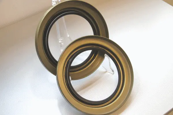 Shaft Seal, wheel hub