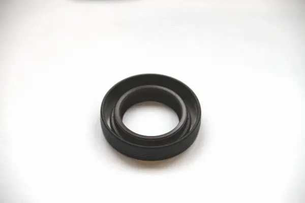 Shaft Seal, differential