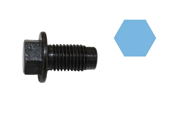 Screw Plug, oil sump (220070H)