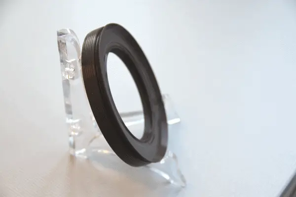 Shaft Seal, differential (49364255)