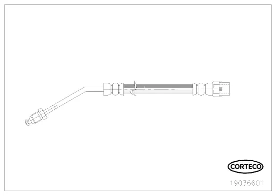 Brake Hose (19036601)