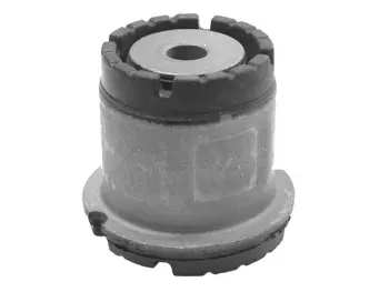 Bushing, axle beam (80000050)
