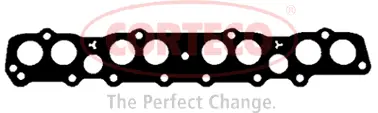 Gasket, exhaust manifold (460363P)