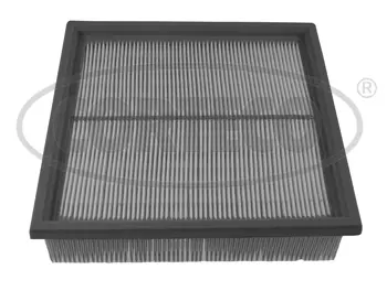 Filter, cabin air (21653139)