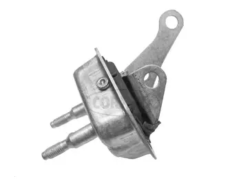 Bushing, axle beam (80000255)