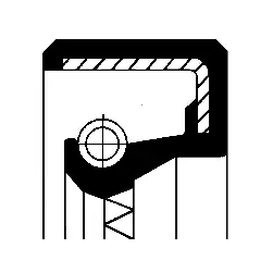 Shaft Seal, differential (12000716B)