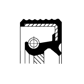Shaft Seal, crankshaft (20036190B)