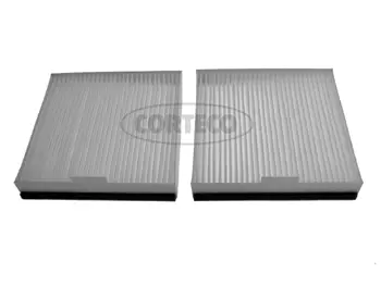 Filter, cabin air (21652687)