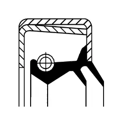 Shaft Seal, manual transmission (12015254B)
