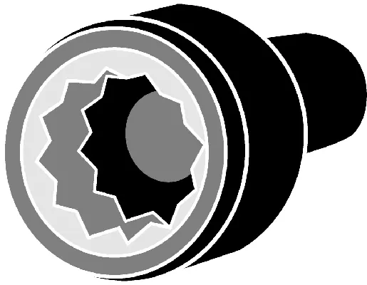 Cylinder Head Bolt Set (016197B)