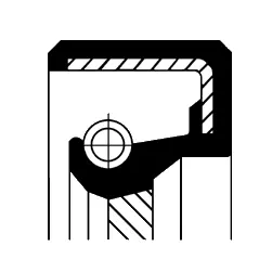 Shaft Seal, crankshaft (15510087B)
