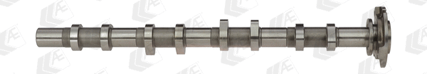 Camshaft (CAM919)