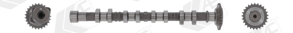 Camshaft