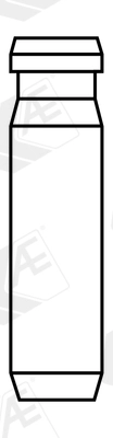 Valve Guide (VAG96166B)