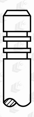Exhaust Valve (V94098)