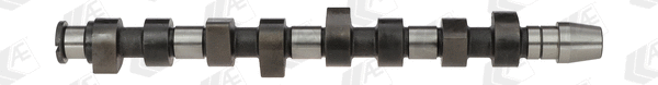 Camshaft (CAM670)