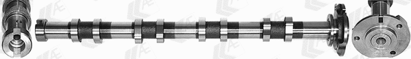 Camshaft (CAM954)