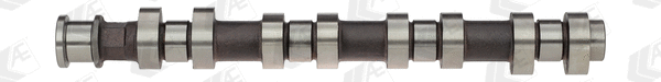 Camshaft (CAM907)