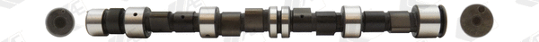 Camshaft (CAM366)
