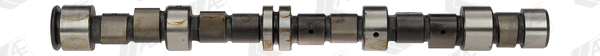 Camshaft (CAM559)