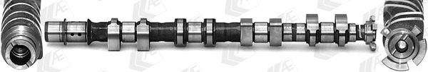 Camshaft (CAM1014)