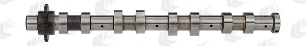 Camshaft (CAM747)