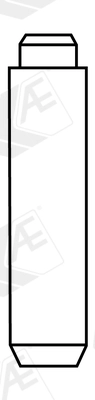 Valve Guide (VAG96335)
