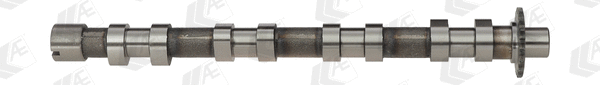 Camshaft (CAM748)