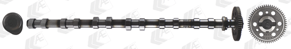 Camshaft