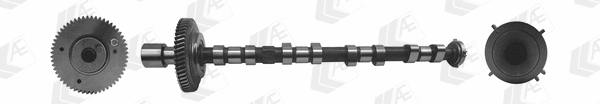Camshaft (CAM973)