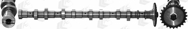 Camshaft (CAM966)