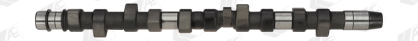 Camshaft (CAM442)