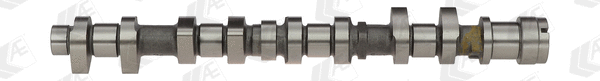 Camshaft (CAM959)
