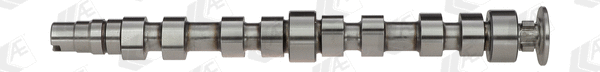 Camshaft (CAM925)