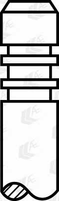 Exhaust Valve