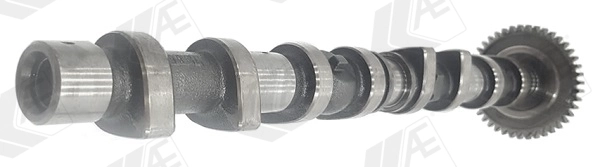 Camshaft