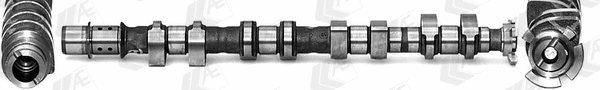 Camshaft (CAM1012)