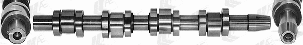 Camshaft (CAM938)