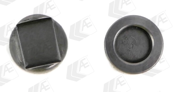 Thrust Piece, intake/exhaust valve (TTP4)