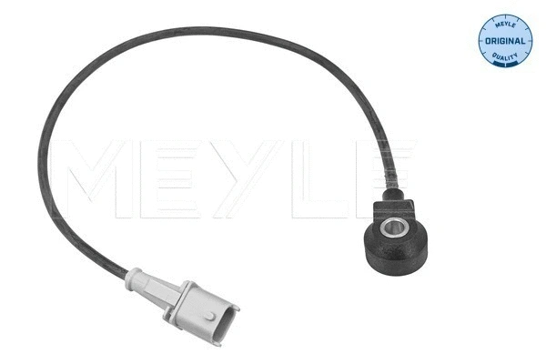 Knock Sensor (214 811 0004)