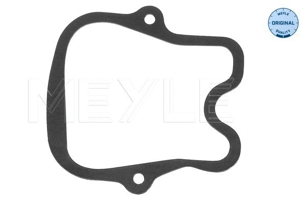Gasket, cylinder head cover (034 001 0041)
