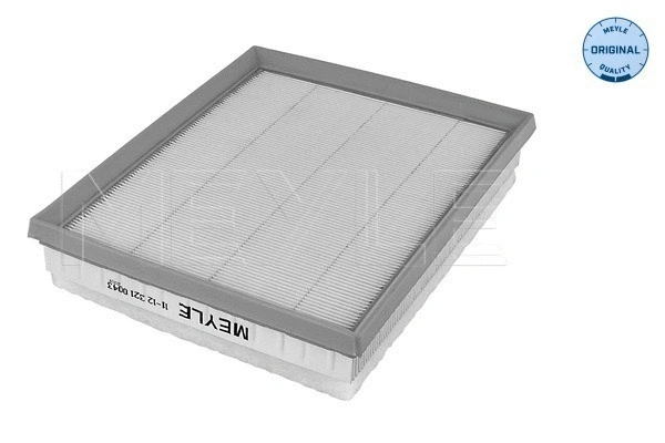 Air Filter (11-12 321 0043)