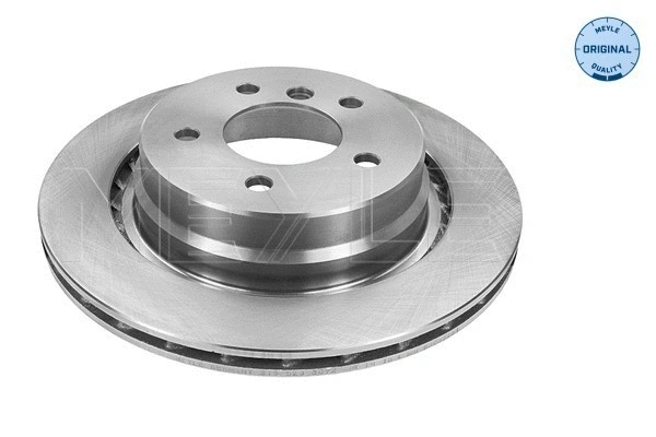 Brake Disc (315 523 3072)